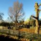 Camden Town Zoo near Regent's Park