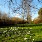 Regent's park is a great place to play with kids