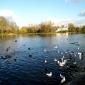 Great Regent's Park during summer time