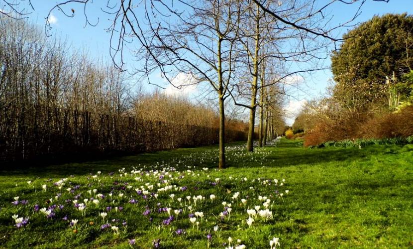 Regent's park is a great place to play with kids