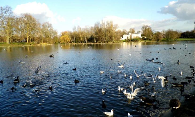 Great Regent's Park during summer time