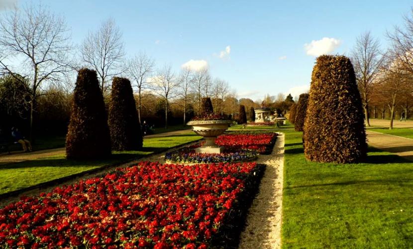 Regent's Park gardens attraction