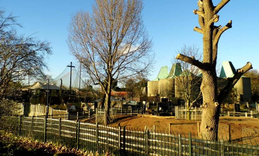 London Zoo is a main attraction